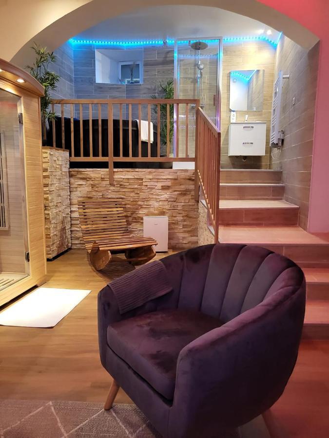 Le Spa De La Cathedrale - Jacuzzi - Sauna - Champagne - Netflix - Wifi Troyes Buitenkant foto