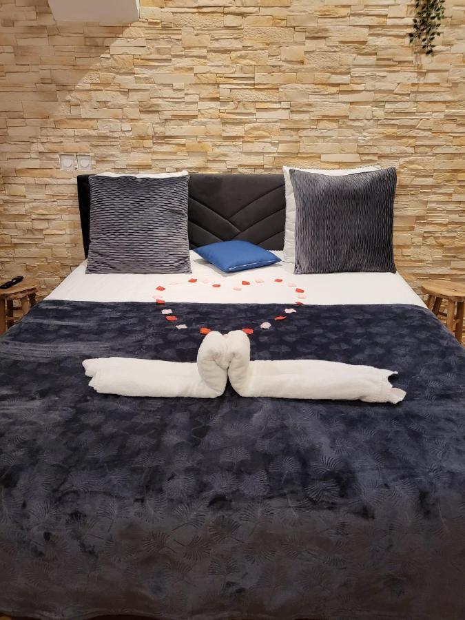 Le Spa De La Cathedrale - Jacuzzi - Sauna - Champagne - Netflix - Wifi Troyes Buitenkant foto