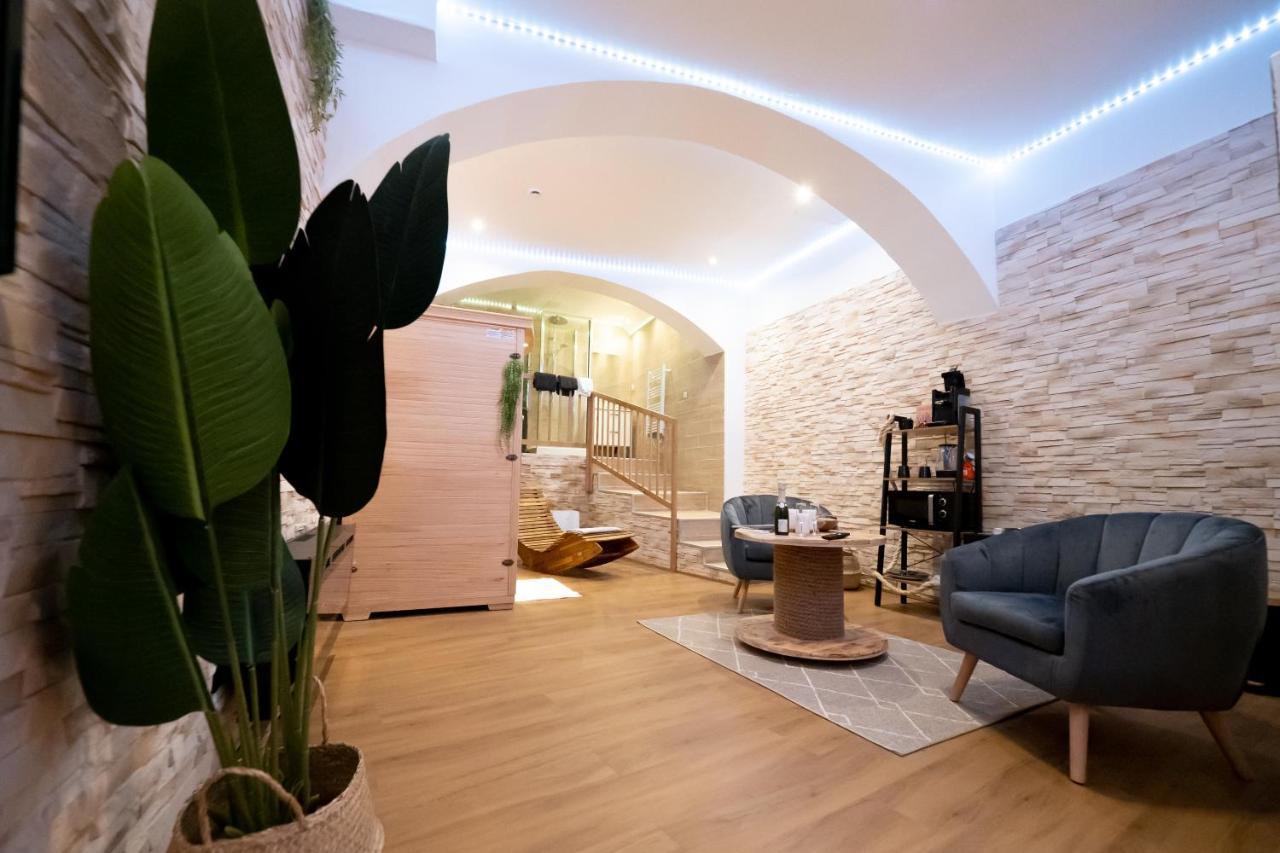 Le Spa De La Cathedrale - Jacuzzi - Sauna - Champagne - Netflix - Wifi Troyes Buitenkant foto